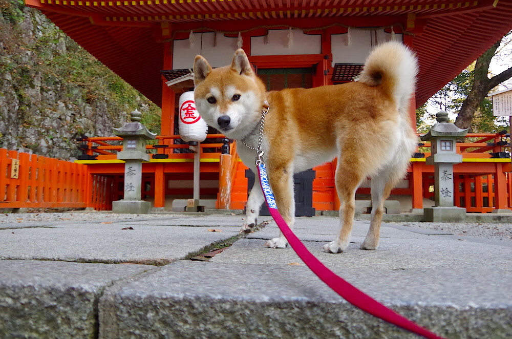 报告显示健身工作室受欢迎，瑜伽、普拉提迎高峰期，健身房普拉提图片