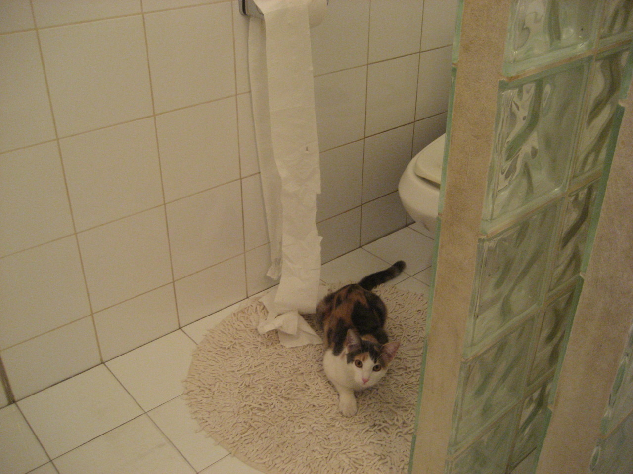 拳击世纪大战：全球瞩目的拳台对决，世纪拳击大战2018