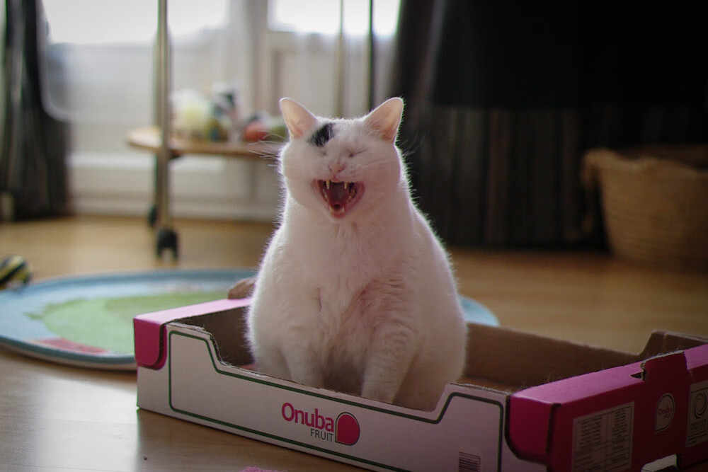 史上最“疯狂”的逆转战役，谁能刷新纪录？，逆转战争